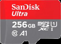 microSD 256 Gb